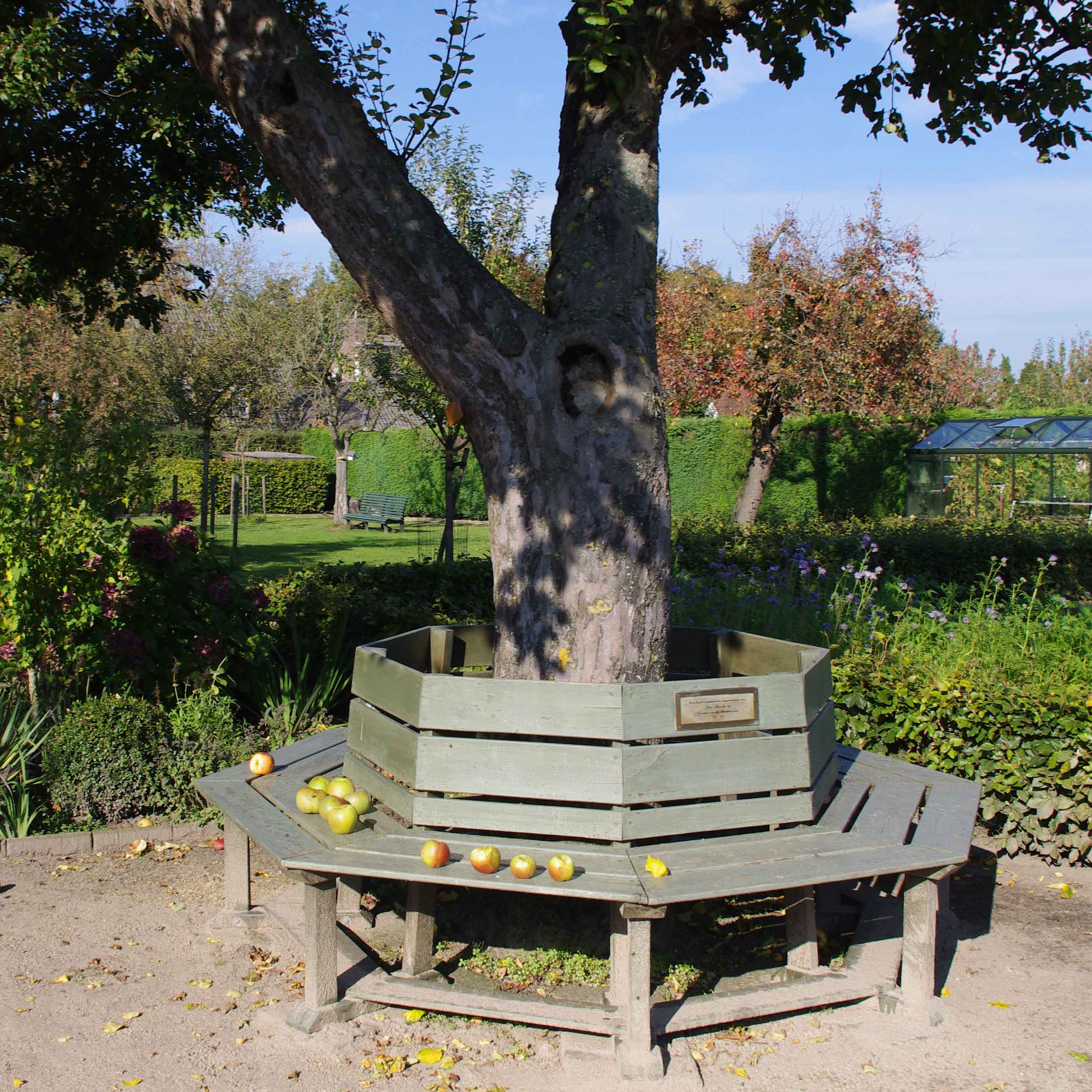 De Acht Zaligheden