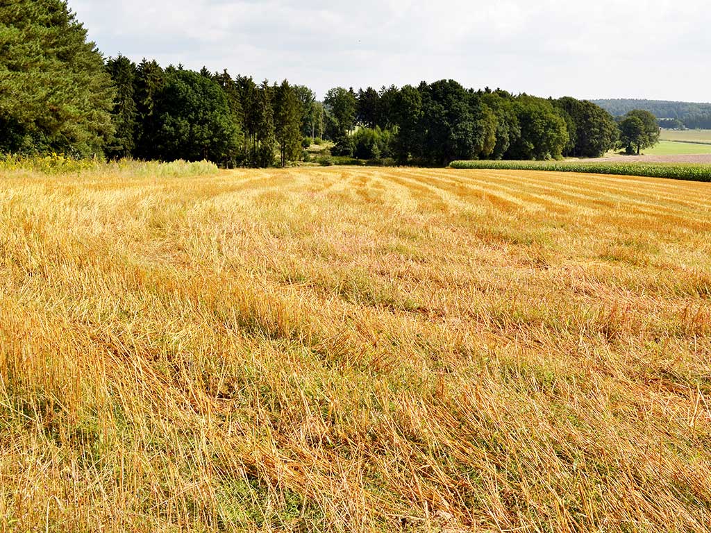 Wandelroutes Bergherbos