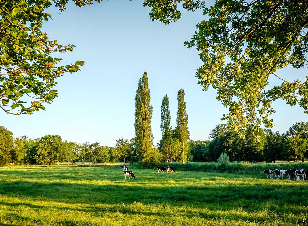 Wandelen op landgoed Colckhof