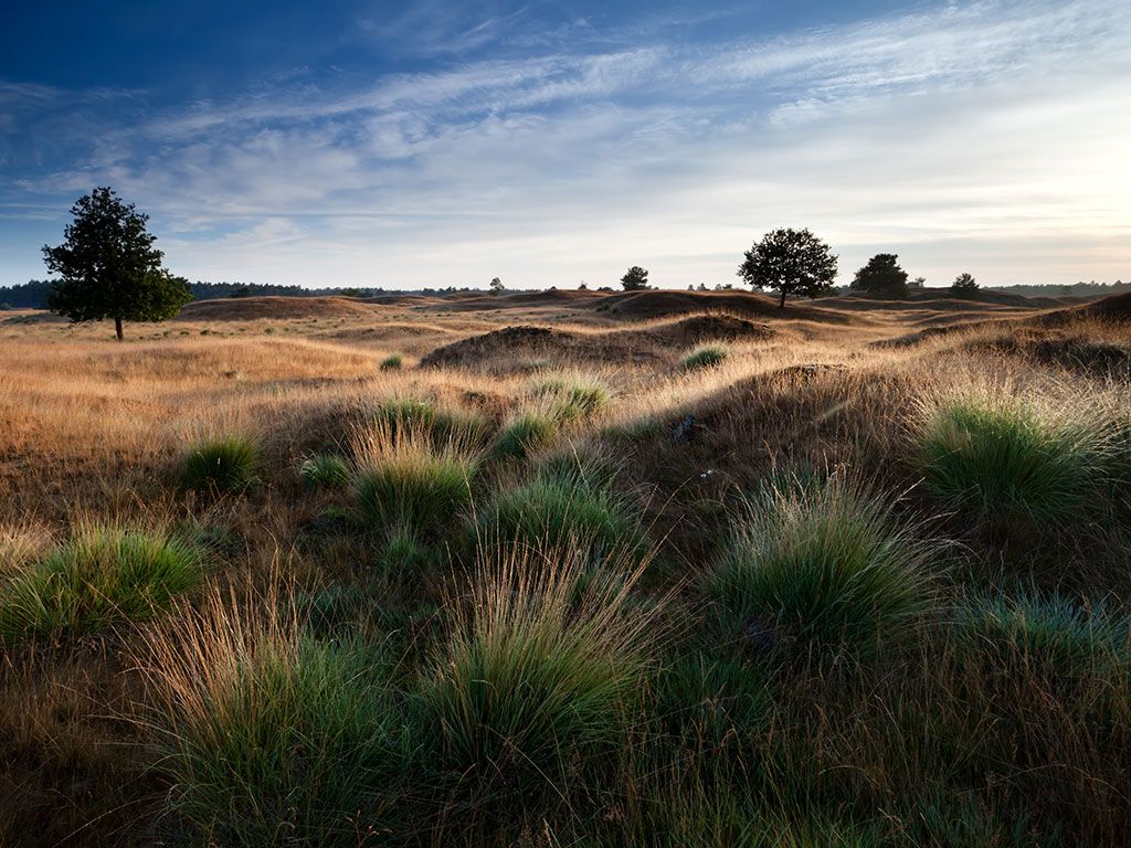 Wandelroute Elsloërveld
