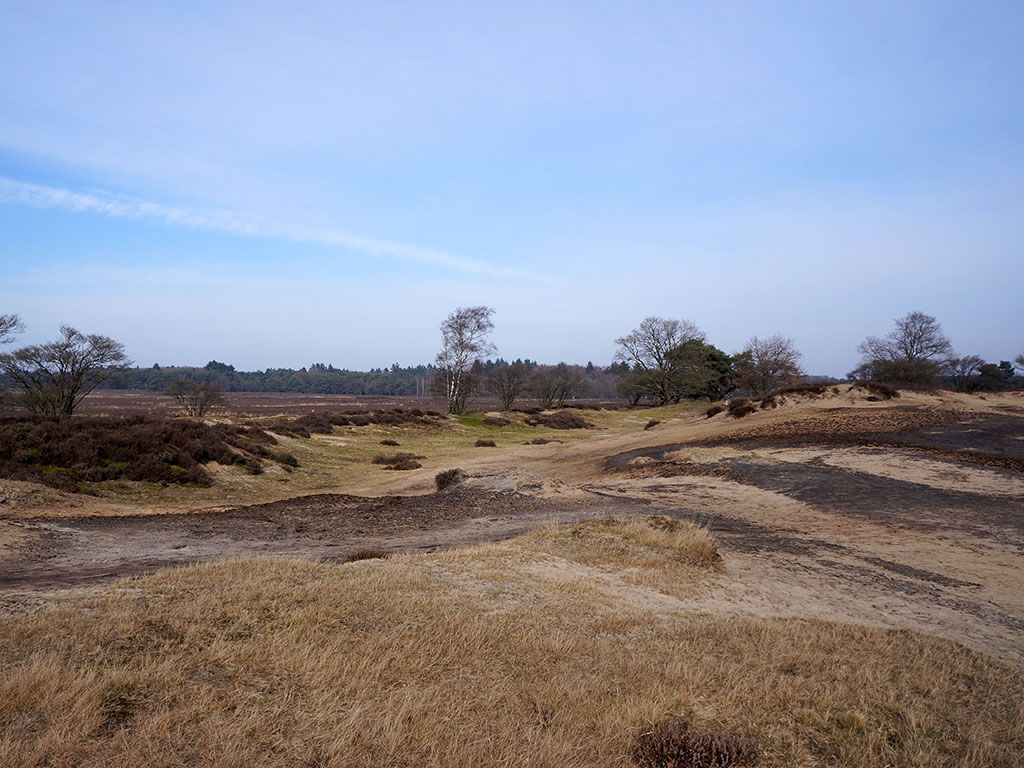 Goois Natuurreservaat