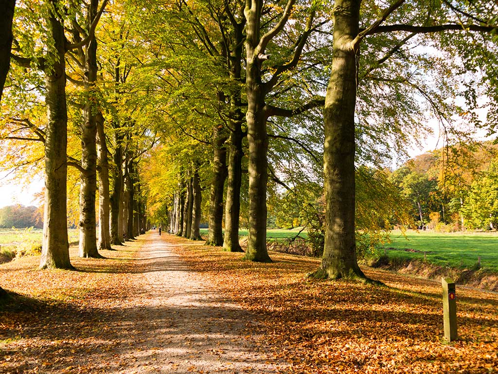 ‘s-Gravelandse Buitenplaatsen