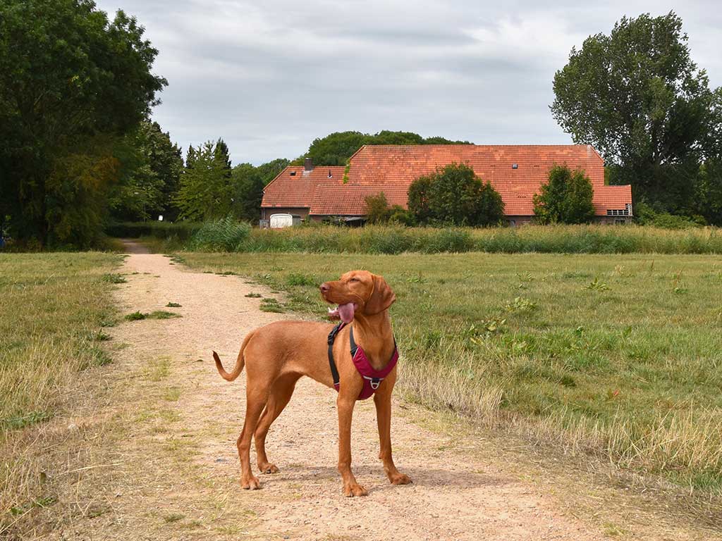 Landgoed Haarzuilens