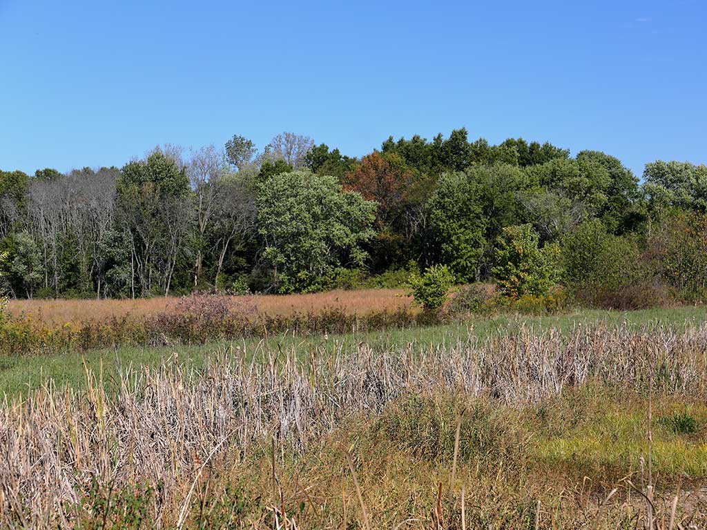 Boswachterspad Klooster- en heidewandeling