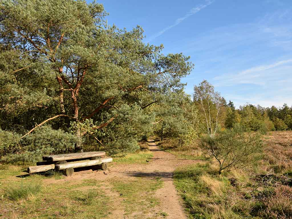 Wandelroute Peppelerboom