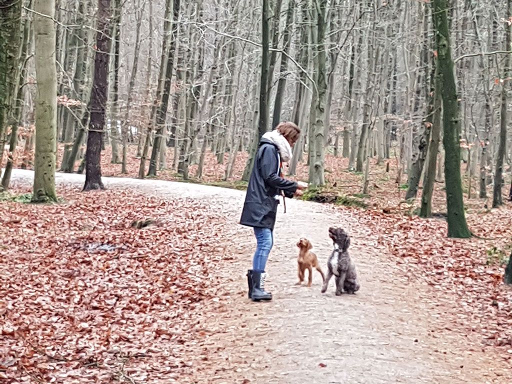 Snuffelroute in het Mastbos