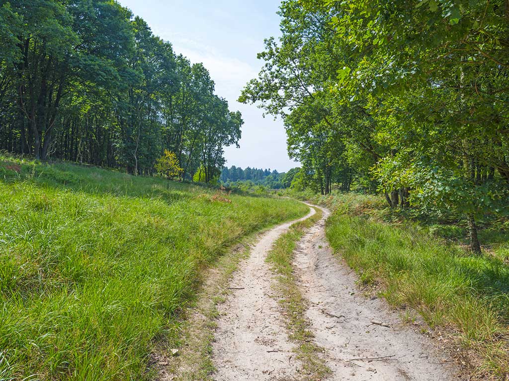 Zandbergenroute