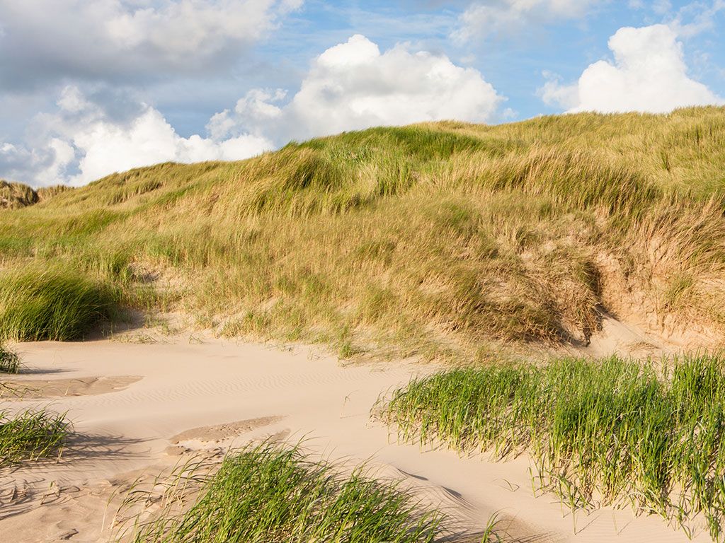 Noordhollands Duinreservaat