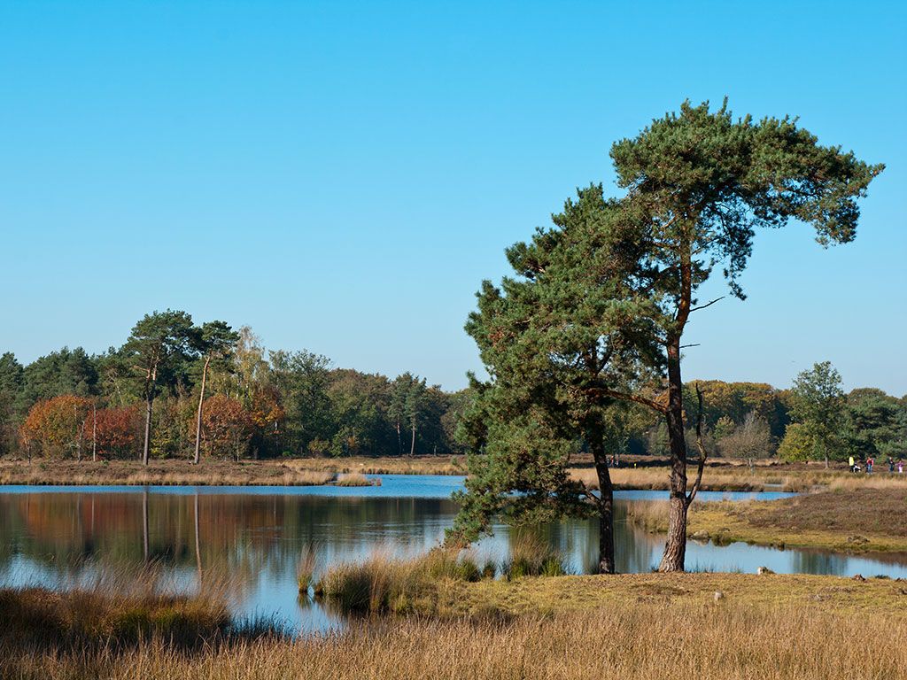 Natuurbeleefpad