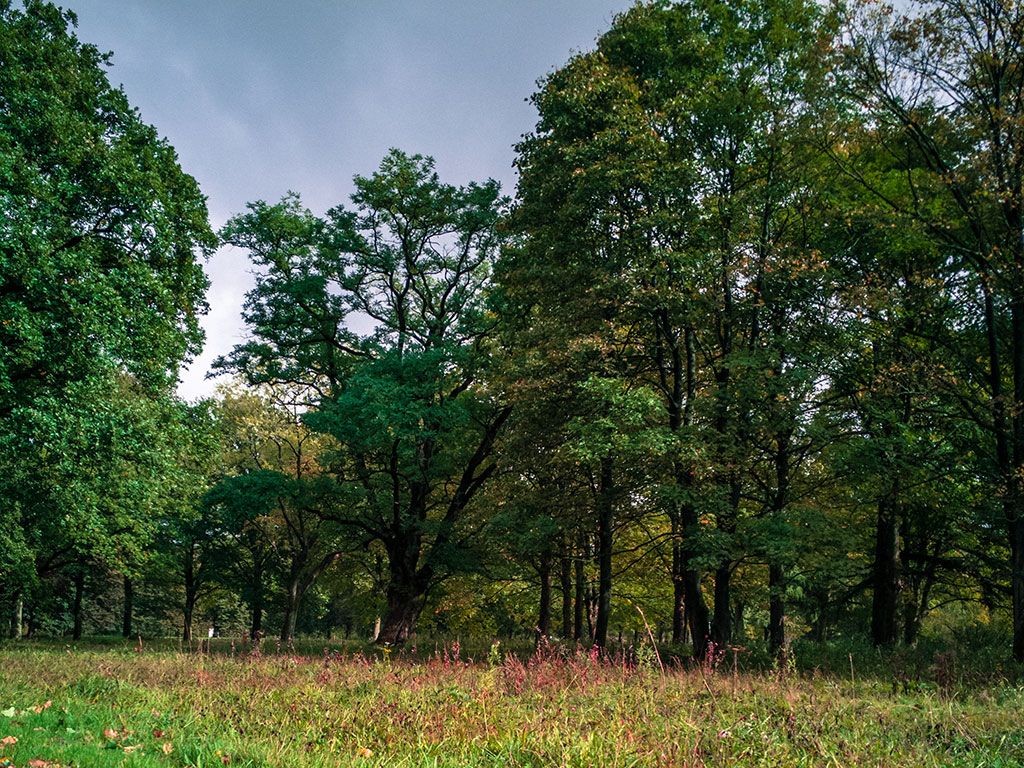 Wandelroute Gijsselterplassen