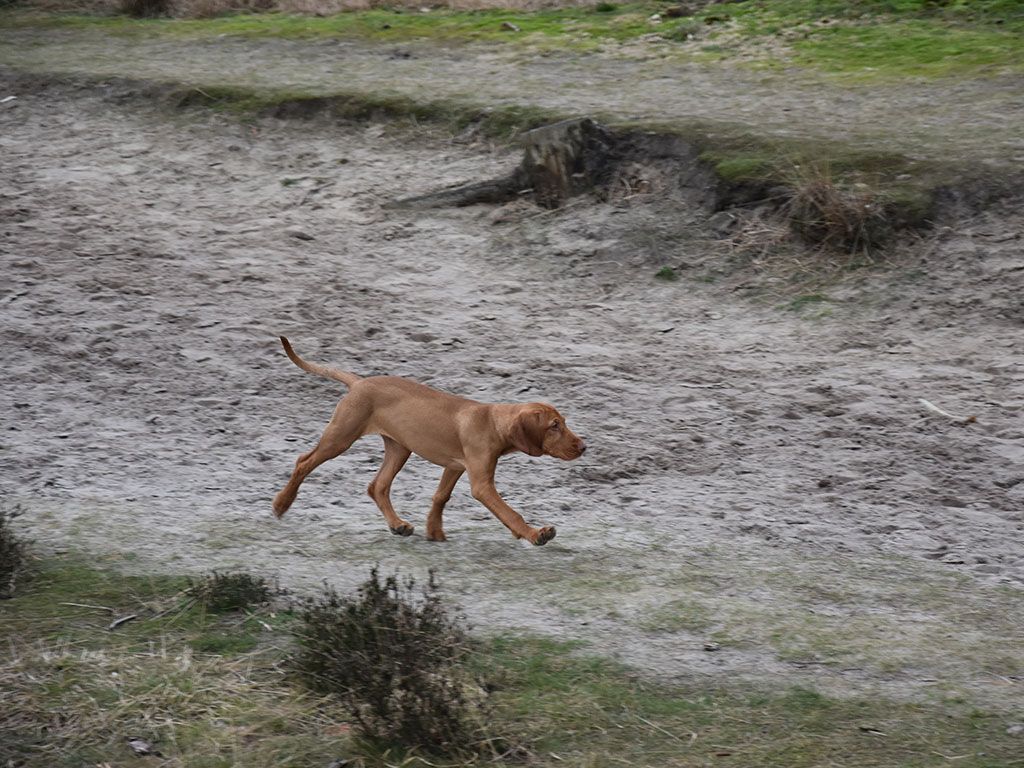 Wandelroute Peelven