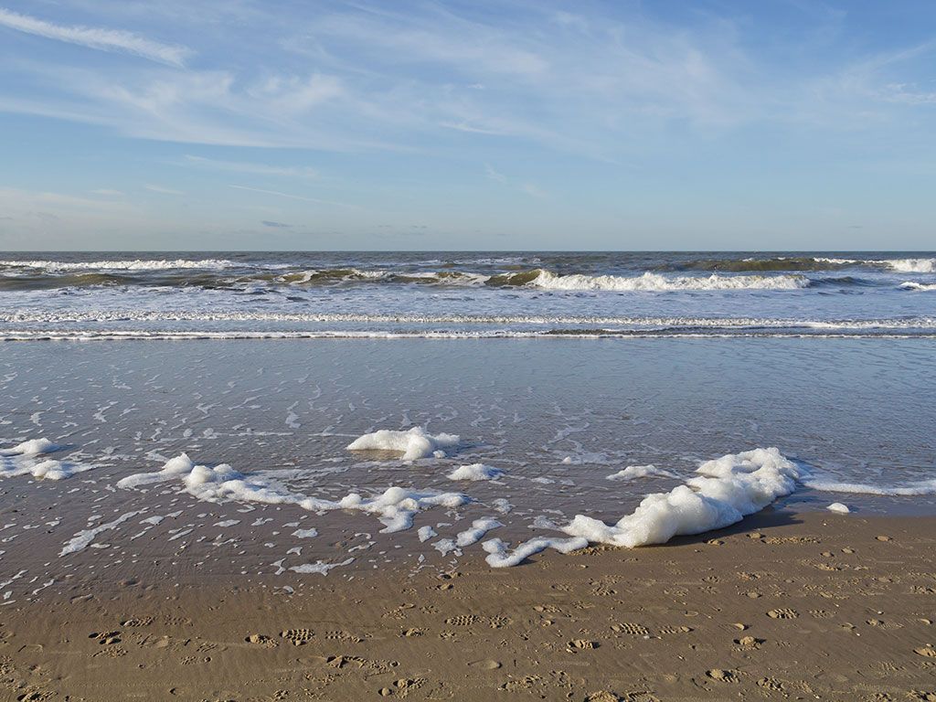 Strand Callantsoog