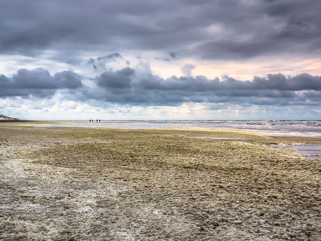 Strand Hargen aan Zee