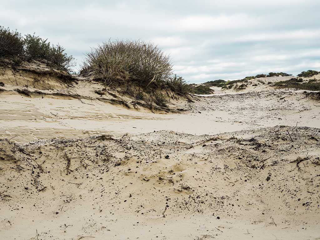 Schiermonnikoog