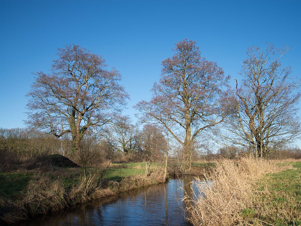 Stroomdal Drentsche Aa
