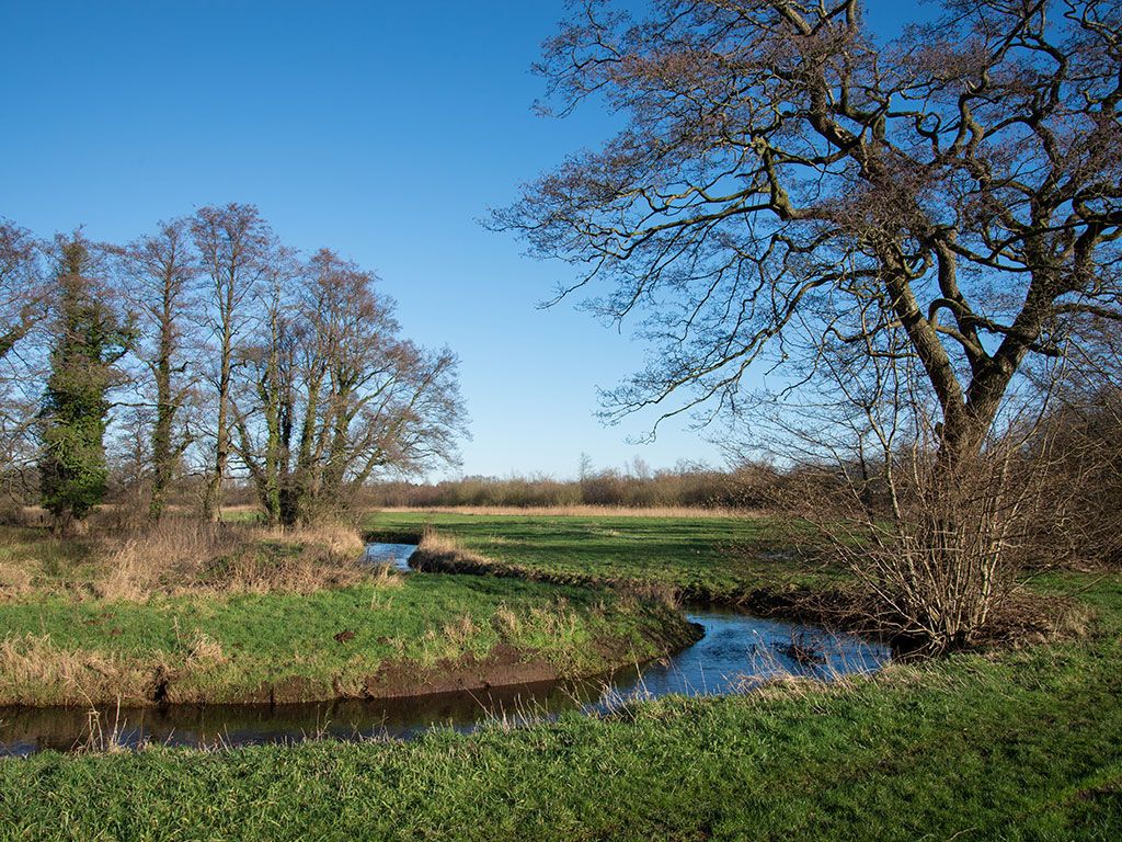 Wandelroute Evertsbos