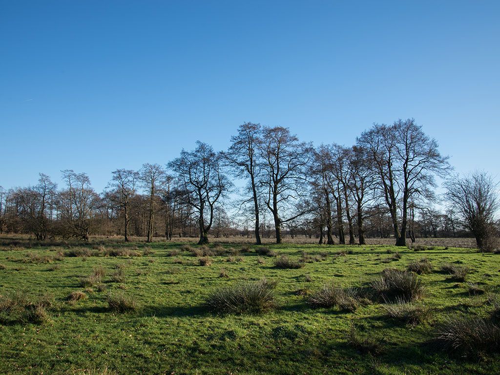 Wandelroute Appelbergen