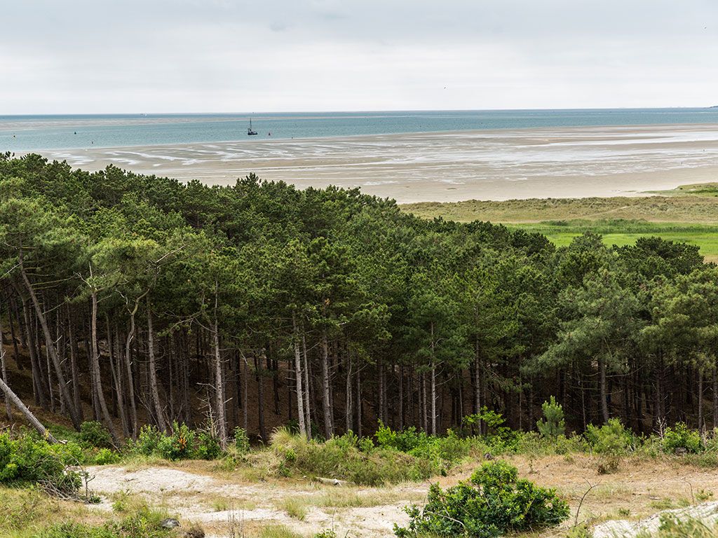 Terschelling