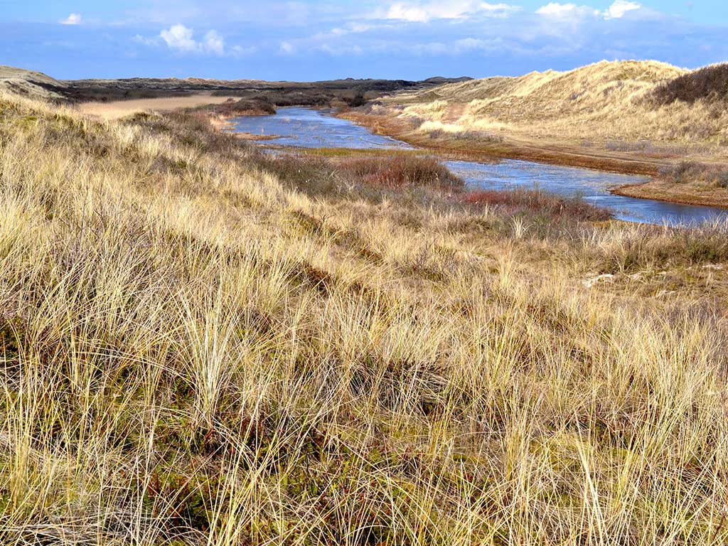 Wandelen in de Horspolders