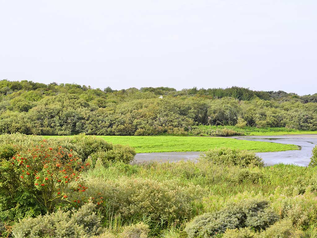 Wandelroute Ploegelanden