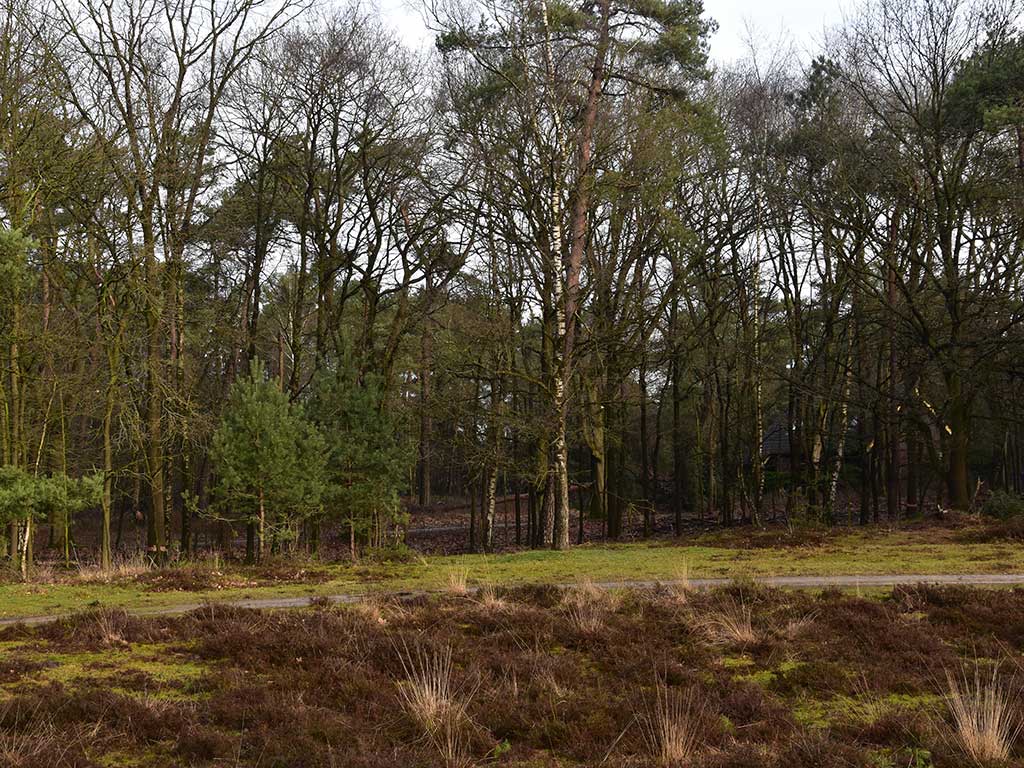 Wandelroute Vijver