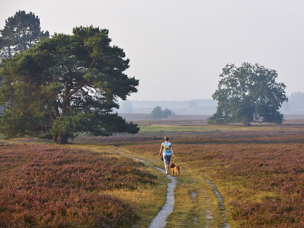 Wandelroute ’t Pad van Zus