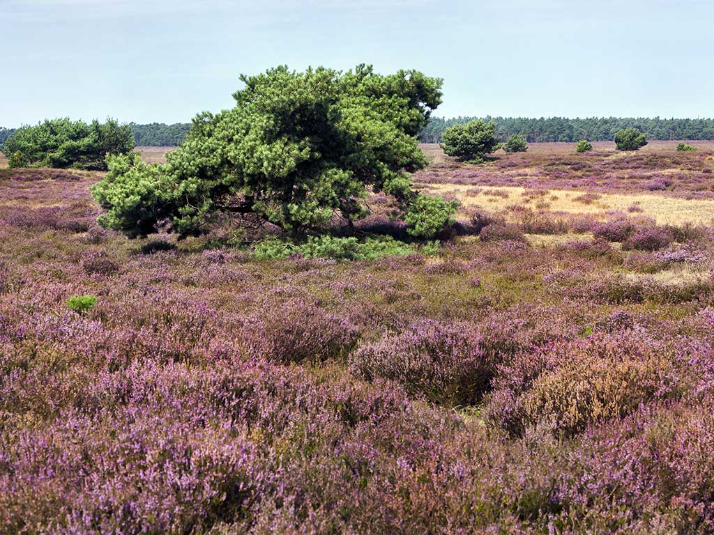 Wandelroute Hendrik Mouwen