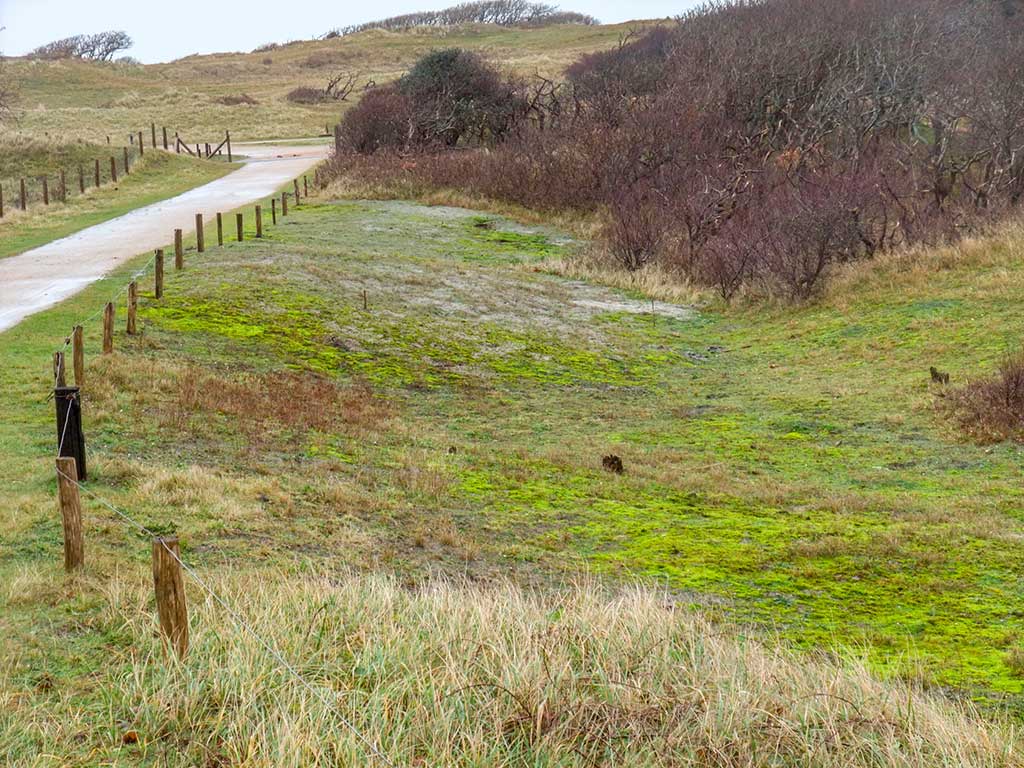 Wandelen rond Fort Rammekens
