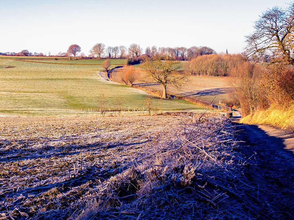 Wandelen over de Eperheide