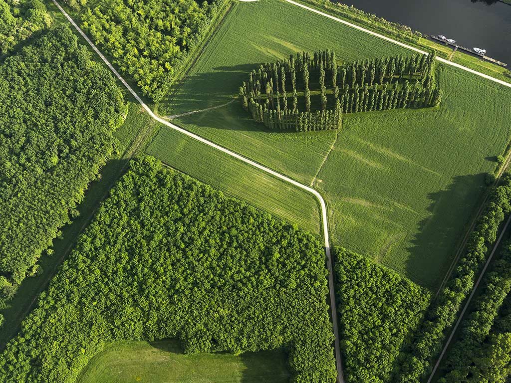 Wandelen in Almeerderhout