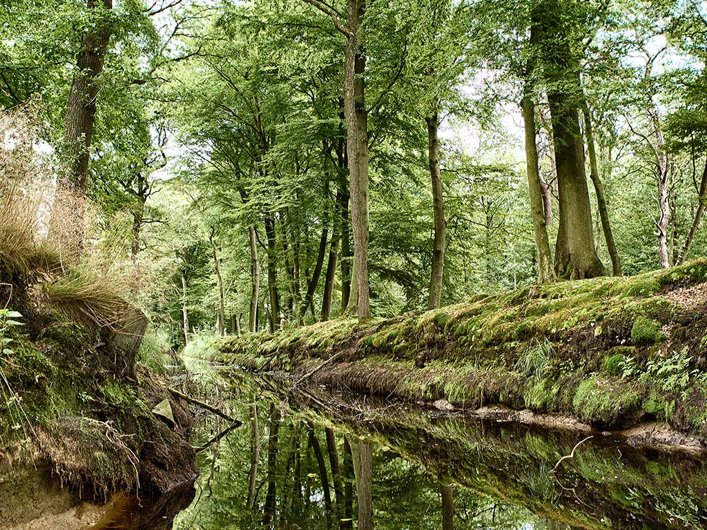 Wandelen in Gaasterland