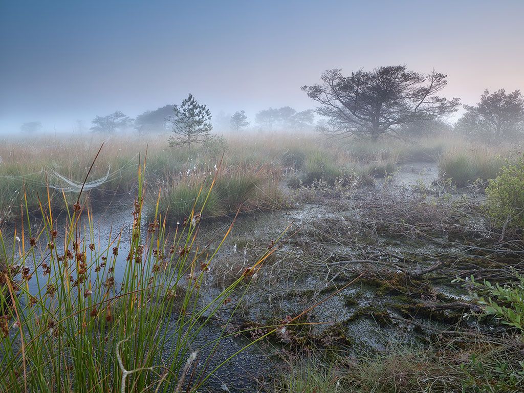 Wandelen langs het Esmeer