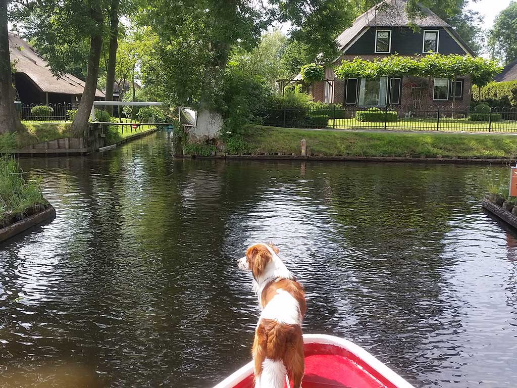 ’t Zwaantje