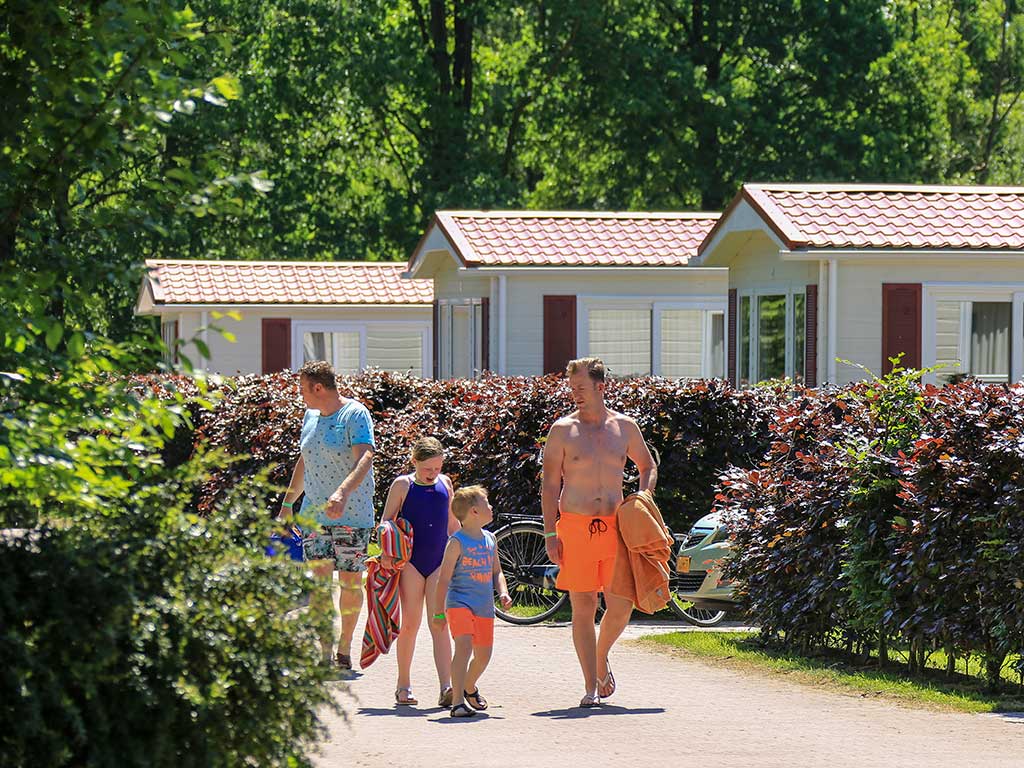 Camping Wedderbergen