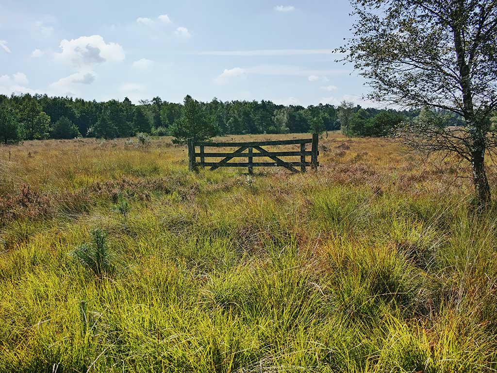 Natuurpoort de Spartelvijver