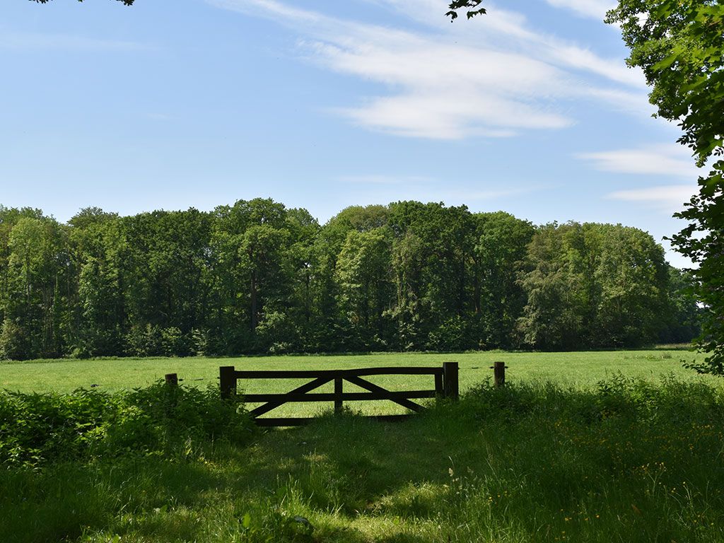 Waardenburg en Neerijnen