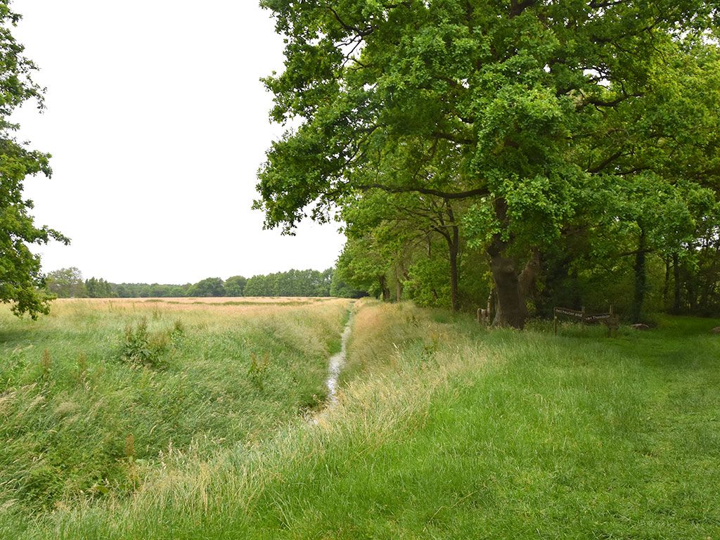 Boswachterspad Oer ’t Veld