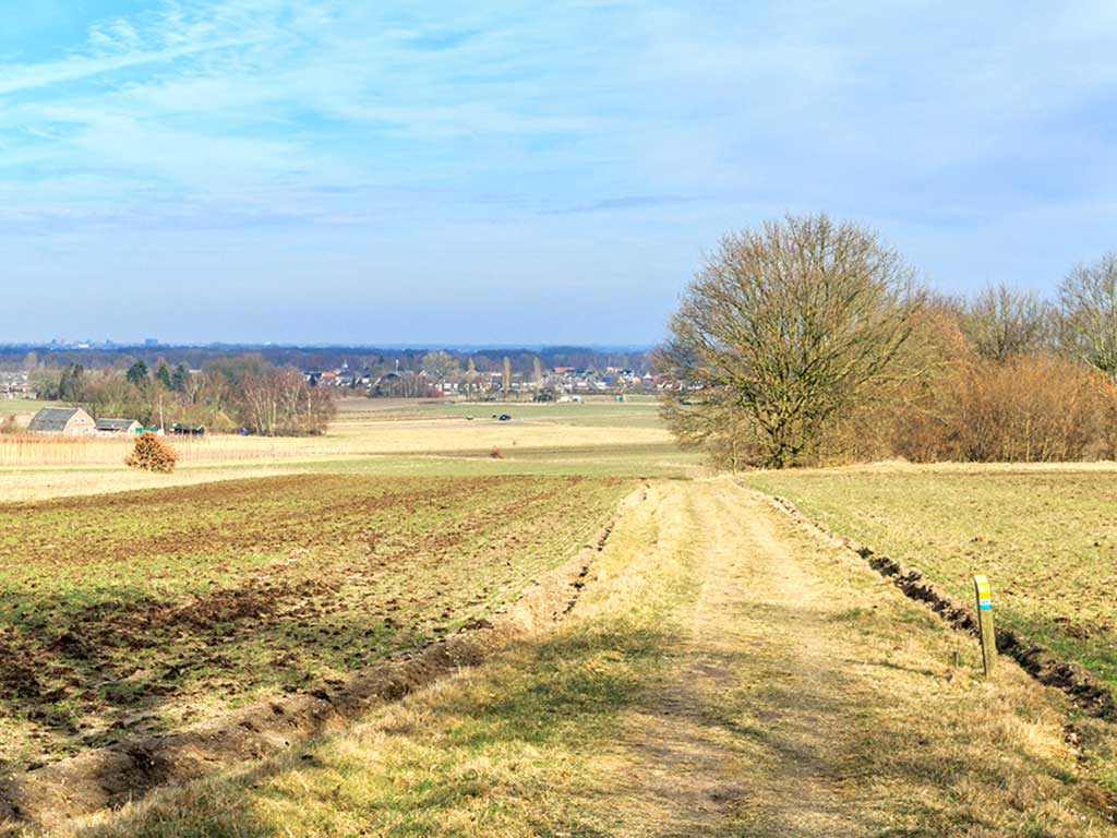 De Laarsenberg