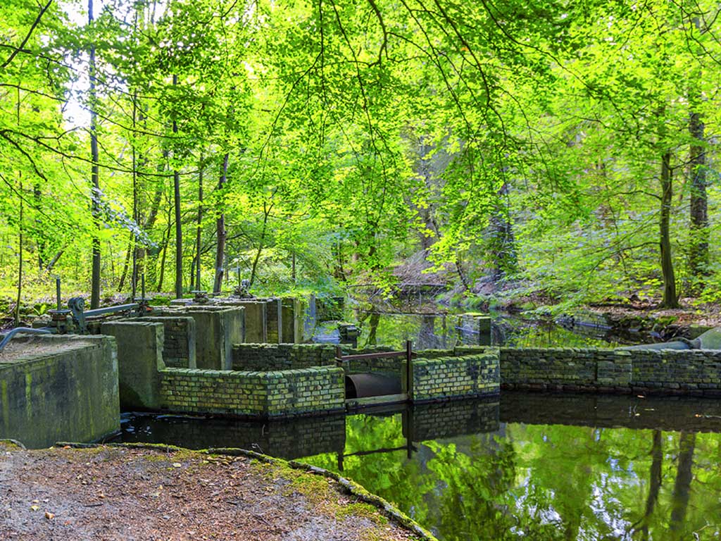 Havenroute Waterloopbos