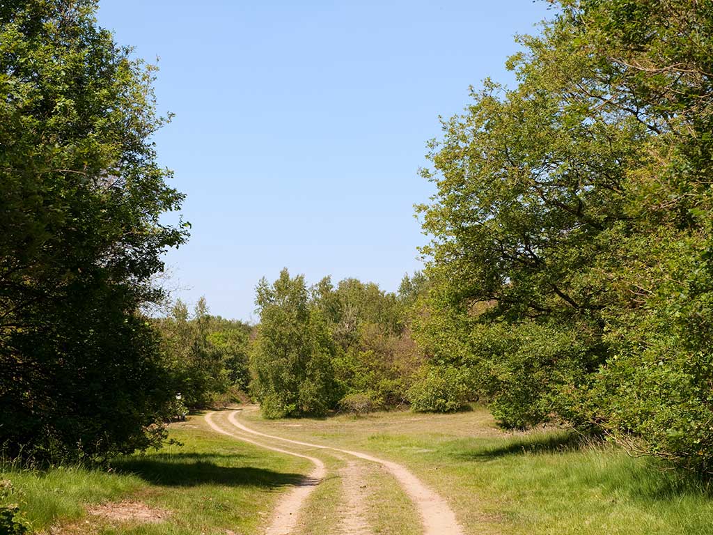 Wandelen door de Maasheggen