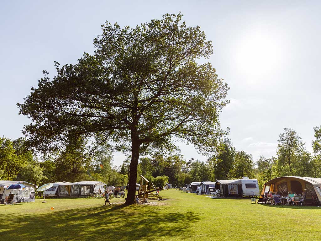 RCN Vakantiepark de Roggeberg