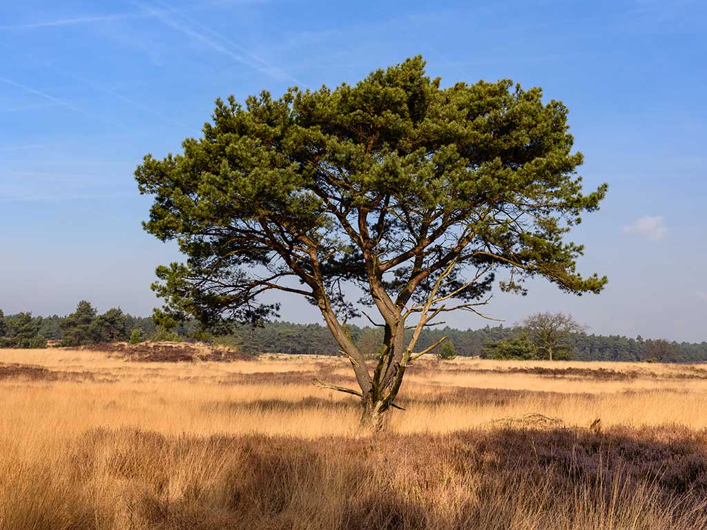 Natuurpoort de Volksabdij