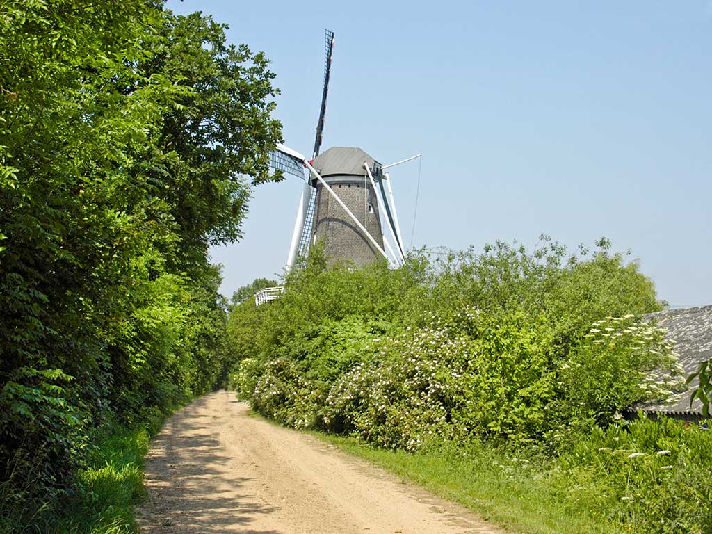 Rondje Molenplas