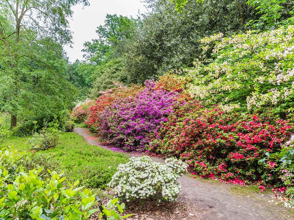 Belmonte Arboretum
