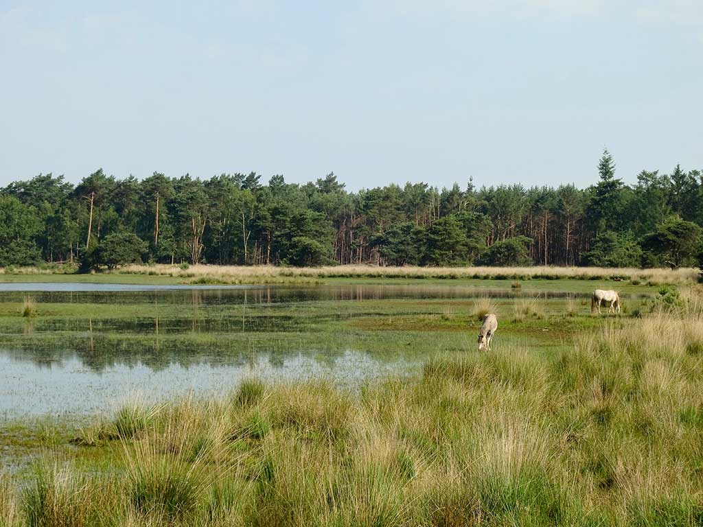 Vlonderpad Heeze-Leende