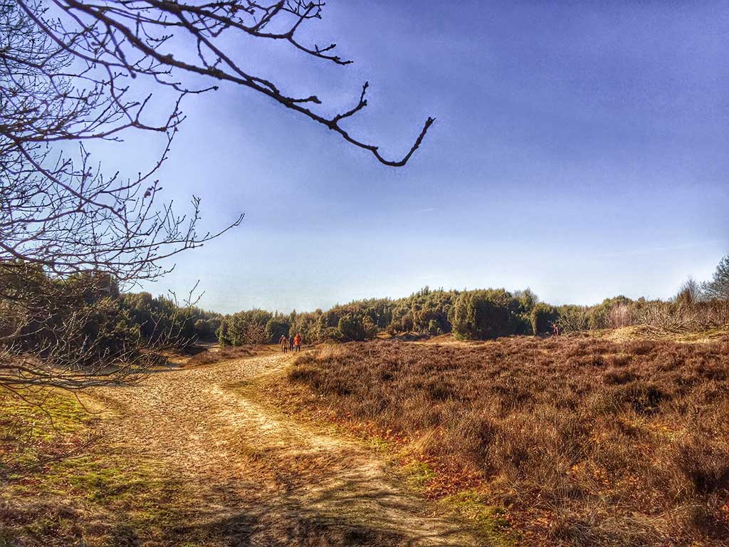Jeneverbesroute Mantingerveld
