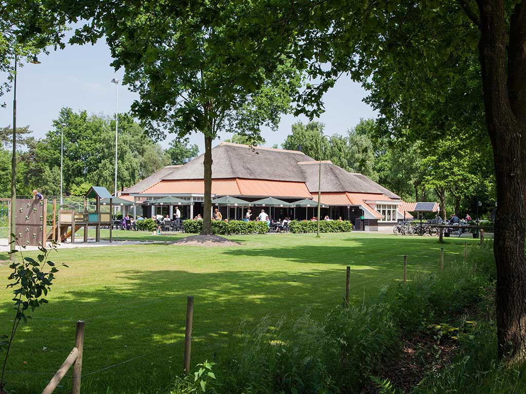 De Heksenboom