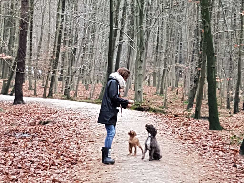 6 Prachtige adventswandelingen