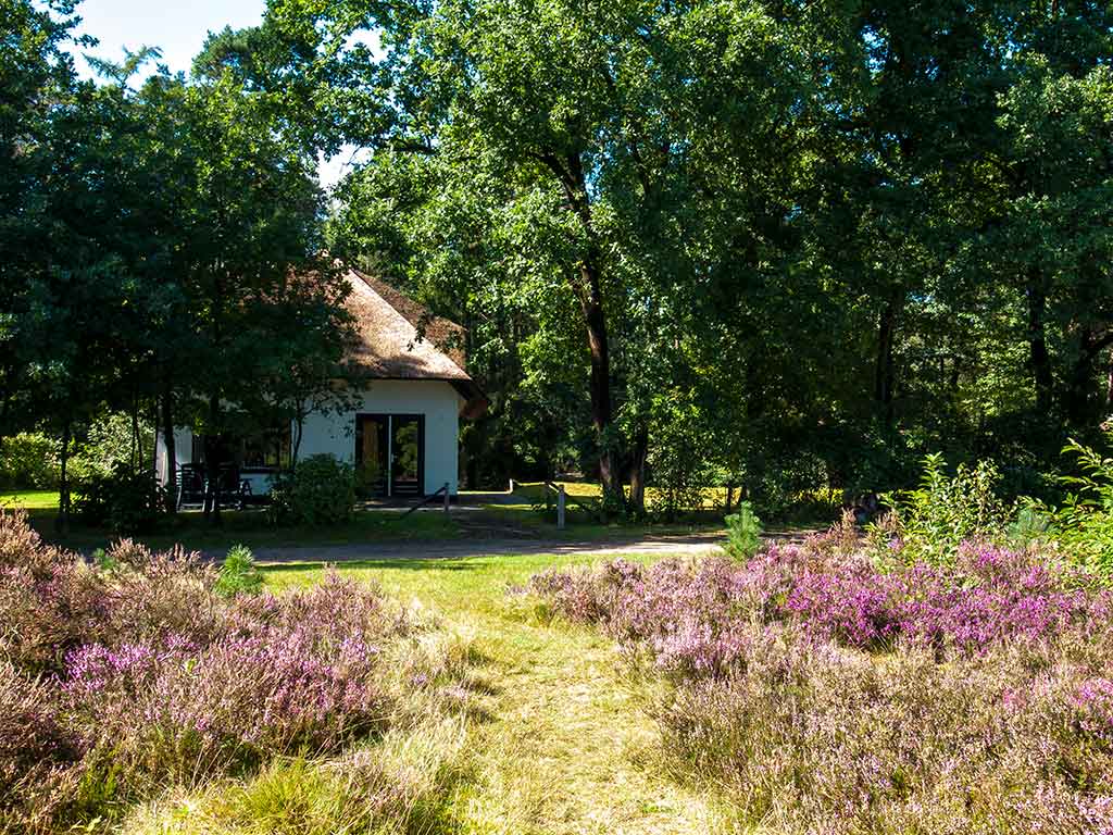 Het Lorkenbos