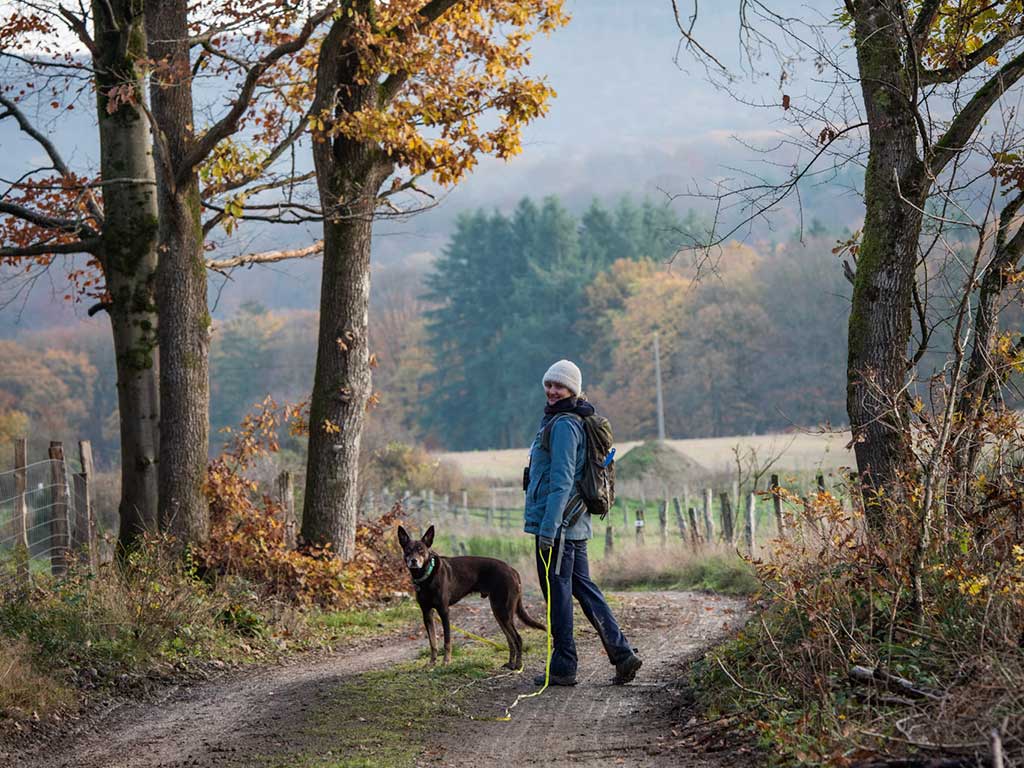 5 Tips voor de ultieme vakantie met je hond